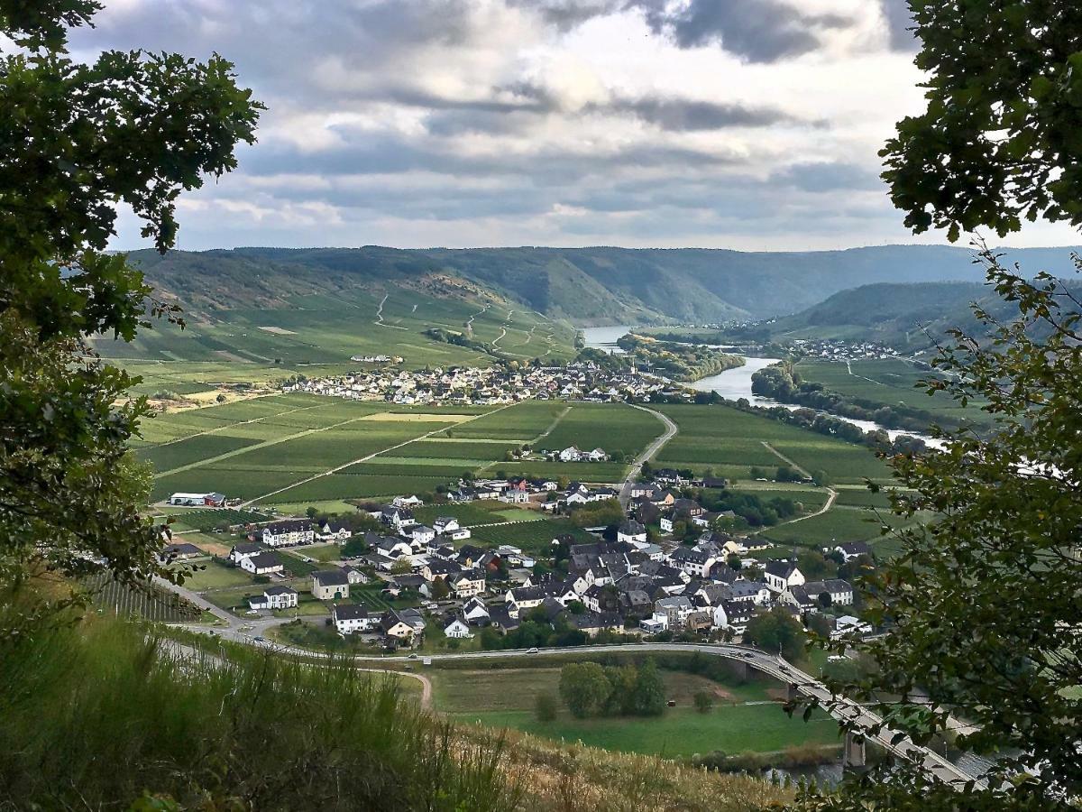 Farschweiler Gastehaus Hoffmann B&B 외부 사진